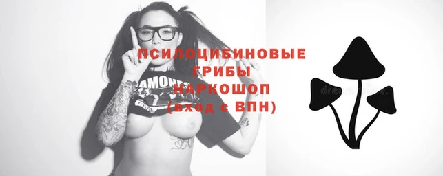 синтетический гашиш Богданович