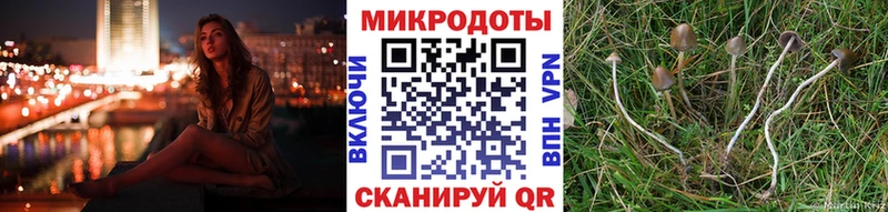 даркнет сайт  Белоозёрский  Псилоцибиновые грибы Psilocybe 